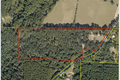 423 E Tedder Road, Defuniak Springs, FL 32433 - Photo 2
