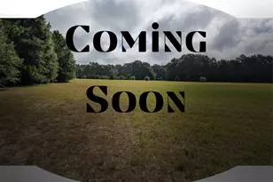 6176 Barnes Rd, Crestview, FL 32536 - Photo 1