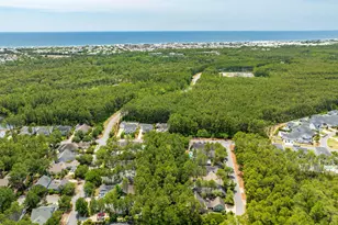 265 Artesian Way, Watersound, FL 32461 - Photo 28