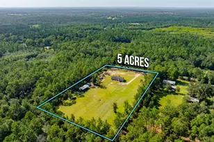3005 Pipkin Rd, Bonifay, FL 32425 - Photo 38