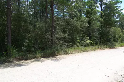10 Ac Nowling Road, Defuniak Springs, FL 32435 - Photo 2