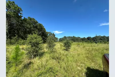 9+/- Ac Munson Hwy Road, Milton, FL 32570 - Photo 6