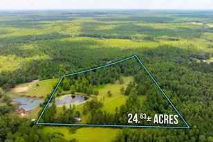 8365 Mountain City Rd, Baker, FL 32531 - Photo 2