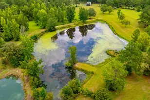 8365 Mountain City Rd, Baker, FL 32531 - Photo 4