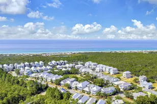111 Cypress Walk, Santa Rosa Beach, FL 32459 - Photo 58