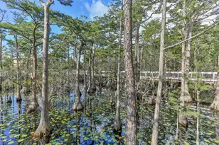 111 Cypress Walk, Santa Rosa Beach, FL 32459 - Photo 84