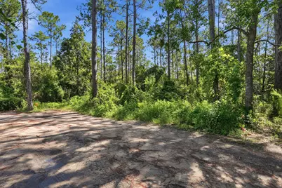 00 S S 6th, Santa Rosa Beach, FL 32459 - Photo 2
