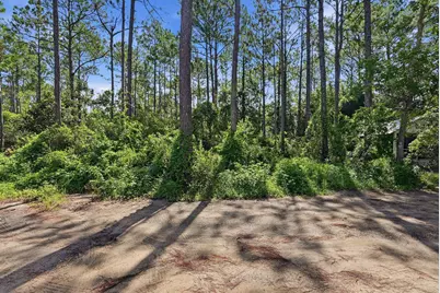 00 S S 6th, Santa Rosa Beach, FL 32459 - Photo 4