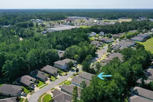 55 N Marsh Landing, Freeport, FL 32439 - Photo 40