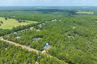 109 Spring Hill Rd, Defuniak Springs, FL 32433 - Photo 64