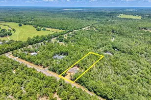 109 Spring Hill Rd, Defuniak Springs, FL 32433 - Photo 54