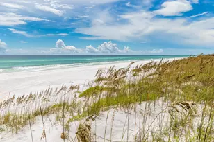 78 Twisted Pine Trail, Santa Rosa Beach, FL 32459 - Photo 110
