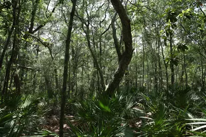 Lot 97 E Perseverance Point, Freeport, FL 32439 - Photo 2