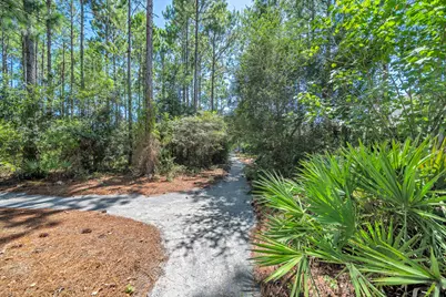 654 Breakers Street, Inlet Beach, FL 32461 - Photo 8