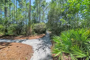 654 Breakers Street, Inlet Beach, FL 32461 - Photo 8