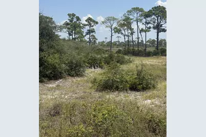 4746 Cape San Blas Road, Cape San Blas, FL 32456 - Photo 14