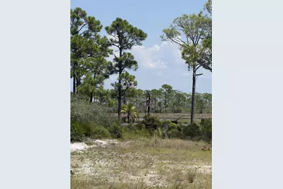 4746 Cape San Blas Road, Cape San Blas, FL 32456 - Photo 2