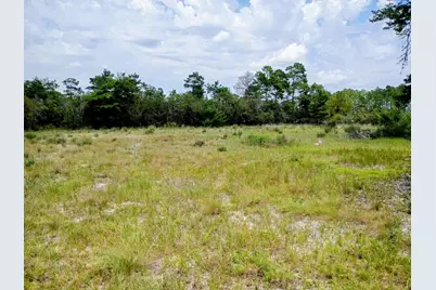 0000 Veterans Lane, Freeport, FL 32439 - Photo 2