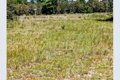 0000 Veterans Lane, Freeport, FL 32439 - Photo 4