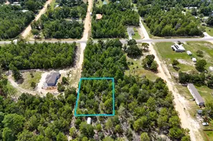 Lot 4 & 5 W Snowdrop East St, Defuniak Springs, FL 32433 - Photo 1