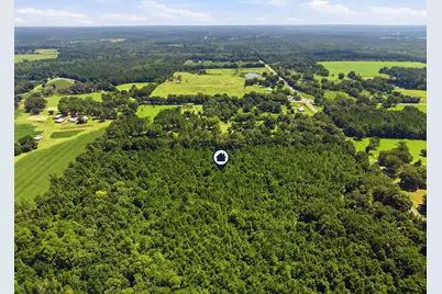 0 Fl-85, Laurel Hill, FL 32567 - Photo 10