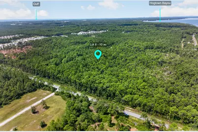 10 Acres Nellie Drive, Santa Rosa Beach, FL 32459 - Photo 14