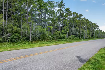 10 Acres Nellie Drive, Santa Rosa Beach, FL 32459 - Photo 12