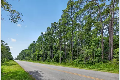 10 Acres Nellie Drive, Santa Rosa Beach, FL 32459 - Photo 10