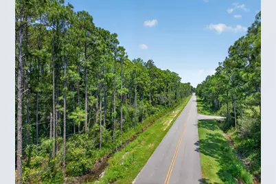 10 Acres Nellie Drive, Santa Rosa Beach, FL 32459 - Photo 16