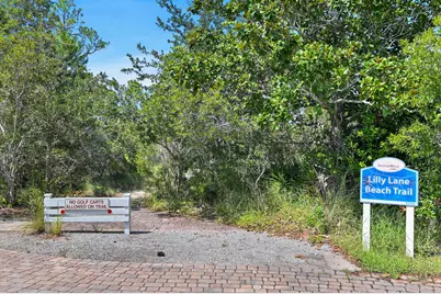 637 Flatwoods Forest Loop, Santa Rosa Beach, FL 32459 - Photo 32