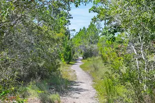 637 Flatwoods Forest Loop, Santa Rosa Beach, FL 32459 - Photo 34