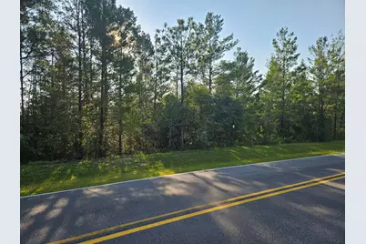 61 Lots Girl Scout Road, Defuniak Springs, FL 32433 - Photo 6
