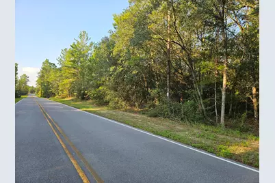 61 Lots Girl Scout Road, Defuniak Springs, FL 32433 - Photo 4