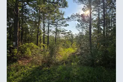 61 Lots Girl Scout Road, Defuniak Springs, FL 32433 - Photo 8