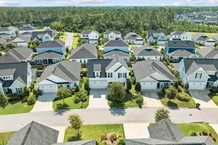 63 Roundwood Dr, Inlet Beach, FL 32461 - Photo 48
