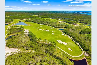 20 W Firethorn Circle #Lot 9, Inlet Beach, FL 32461 - Photo 68