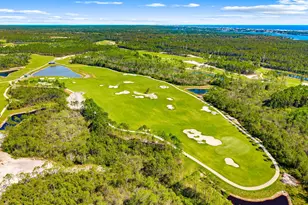 20 W Firethorn Cir, Inlet Beach, FL 32461 - Photo 68
