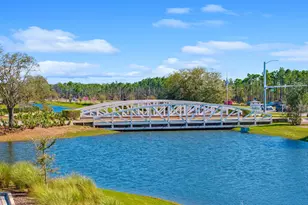 20 W Firethorn Cir, Inlet Beach, FL 32461 - Photo 74