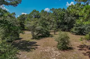 208 Kings Lake Blvd, Defuniak Springs, FL 32433 - Photo 1