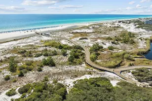 273 Salt Box Ln, Watersound, FL 32461 - Photo 22