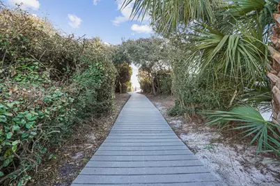 461 Blue Mountain Road, Santa Rosa Beach, FL 32459 - Photo 54