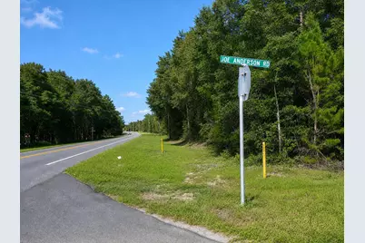 137 Joe Anderson Road, Defuniak Springs, FL 32433 - Photo 48