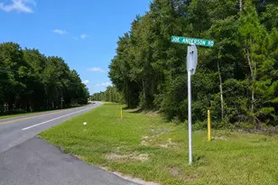 137 Joe Anderson Rd, Defuniak Springs, FL 32433 - Photo 48
