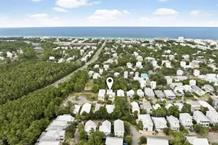 324 Ventana Blvd, Santa Rosa Beach, FL 32459 - Photo 36