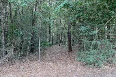 101 Blossom Creek Run, Niceville, FL 32578 - Photo 72