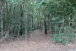 101 Blossom Creek Run, Niceville, FL 32578 - Photo 72