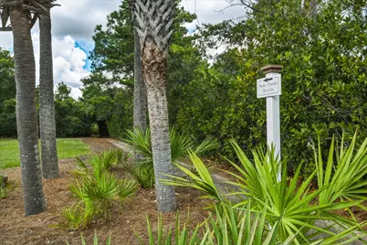 Lot 25 Sand Oaks Circle, Santa Rosa Beach, FL 32459 - Photo 6