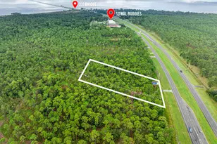 000 Us-331, Freeport, FL 32439 - Photo 1