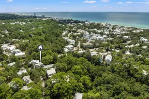 16 Spanish Moss Ln, Santa Rosa Beach, FL 32459 - Photo 36