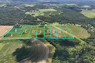 10 Acres F Davidson Rd, Defuniak Springs, FL 32433 - Photo 1